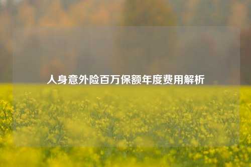 人身意外险百万保额年度费用解析