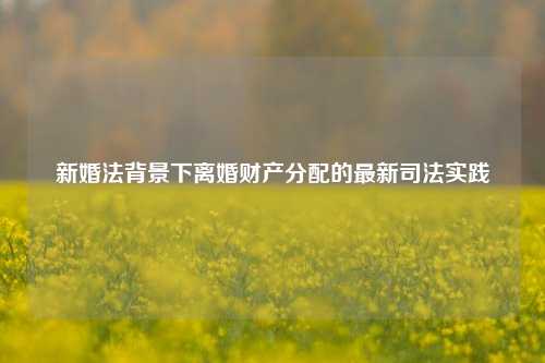 新婚法背景下离婚财产分配的最新司法实践