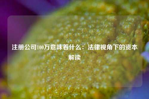 注册公司100万意味着什么：法律视角下的资本解读