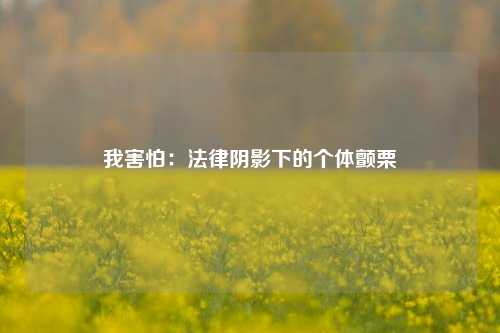 我害怕：法律阴影下的个体颤栗