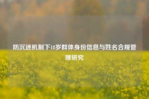 防沉迷机制下18岁群体身份信息与姓名合规管理研究