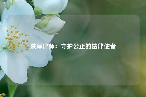 洪泽律师：守护公正的法律使者