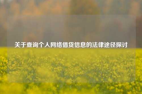 关于查询个人网络借贷信息的法律途径探讨