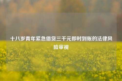 十八岁青年紧急借贷三千元即时到账的法律风险审视