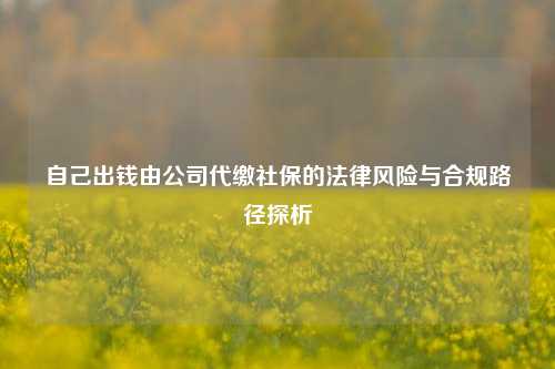 自己出钱由公司代缴社保的法律风险与合规路径探析