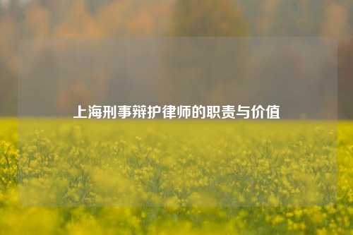 上海刑事辩护律师的职责与价值
