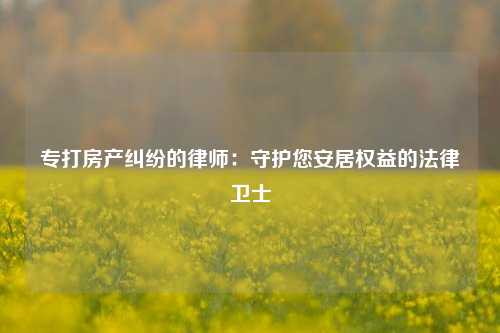 专打房产纠纷的律师：守护您安居权益的法律卫士