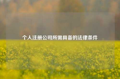 个人注册公司所需具备的法律条件