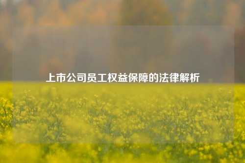 上市公司员工权益保障的法律解析