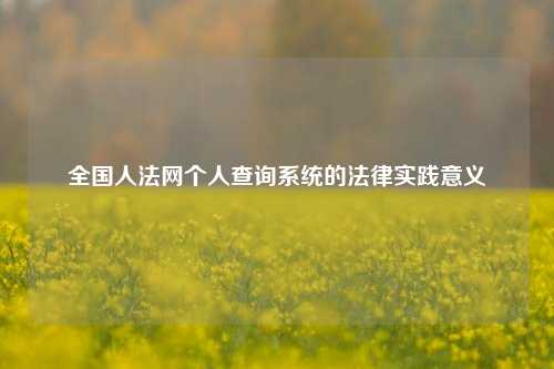 全国人法网个人查询系统的法律实践意义