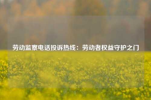 劳动监察电话投诉热线:劳动者权益守护之门