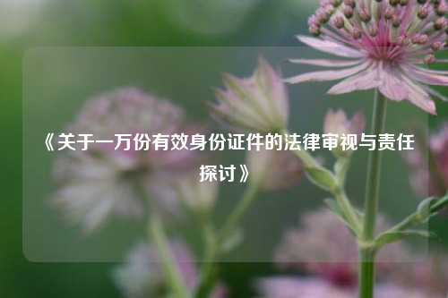《关于一万份有效身份证件的法律审视与责任探讨》