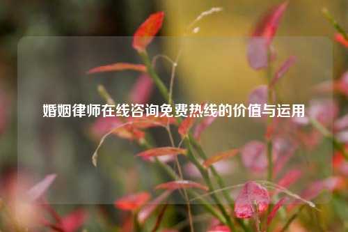 婚姻律师在线咨询免费热线的价值与运用