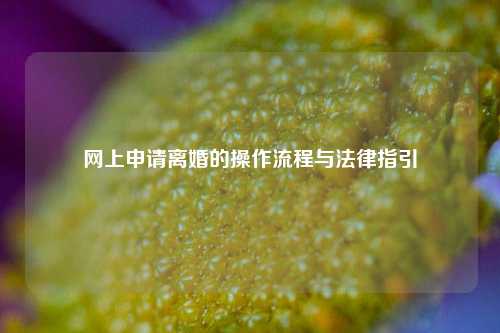 网上申请离婚的操作流程与法律指引