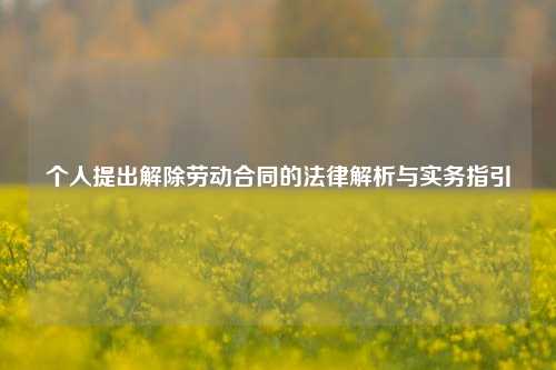 个人提出解除劳动合同的法律解析与实务指引