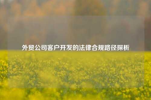 外贸公司客户开发的法律合规路径探析