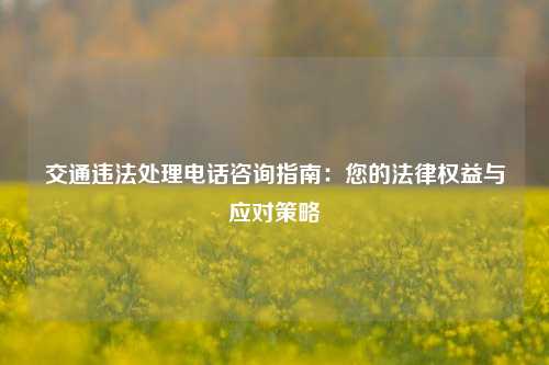 交通违法处理电话咨询指南：您的法律权益与应对策略