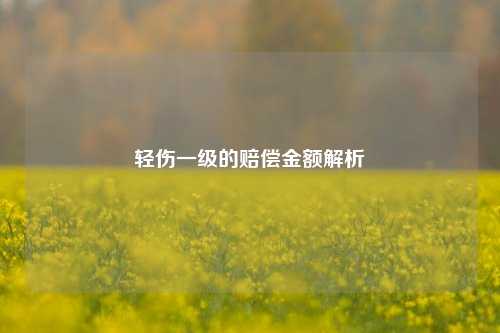 轻伤一级的赔偿金额解析