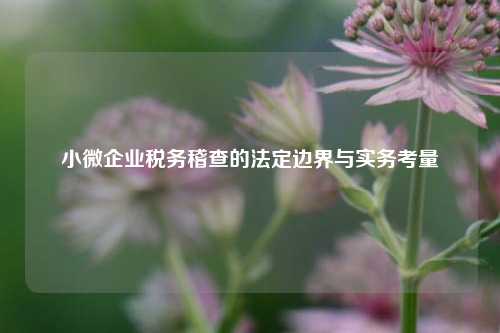 小微企业税务稽查的法定边界与实务考量