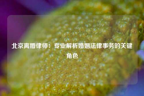 北京离婚律师：专业解析婚姻法律事务的关键角色