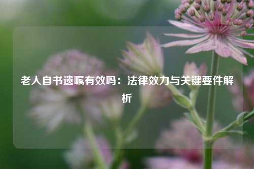 老人自书遗嘱有效吗：法律效力与关键要件解析