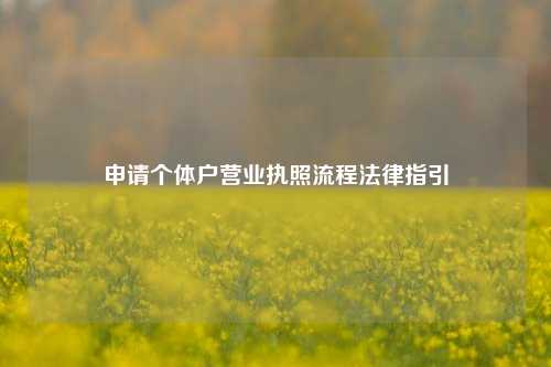 申请个体户营业执照流程法律指引