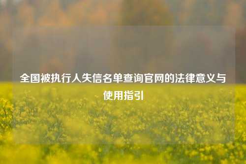 全国被执行人失信名单查询官网的法律意义与使用指引