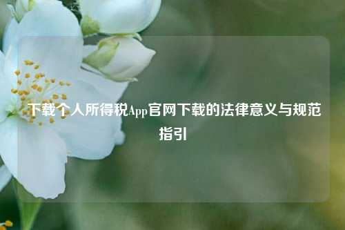  下载个人所得税App官网下载的法律意义与规范指引