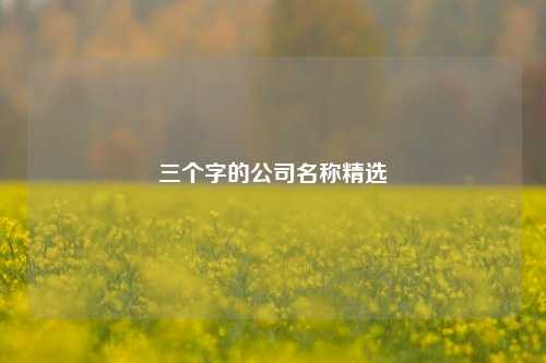三个字的公司名称精选