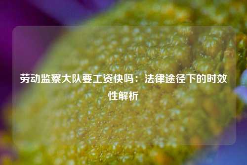 劳动监察大队要工资快吗：法律途径下的时效性解析