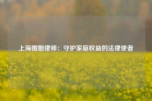 上海婚姻律师:守护家庭权益的法律使者