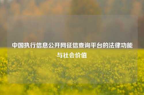 中国执行信息公开网征信查询平台的法律功能与社会价值