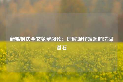 新婚姻法全文免费阅读：理解现代婚姻的法律基石