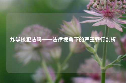 炸学校犯法吗——法律视角下的严重罪行剖析