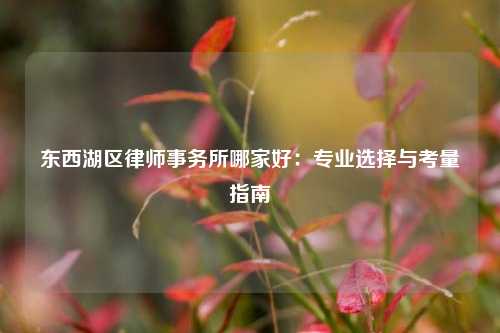 东西湖区律师事务所哪家好：专业选择与考量指南