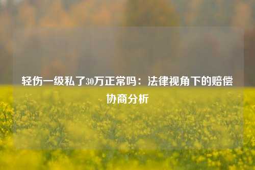轻伤一级私了30万正常吗：法律视角下的赔偿协商分析