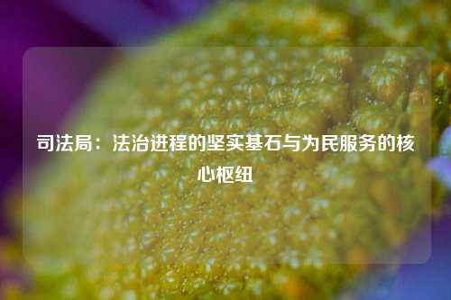 司法局：法治进程的坚实基石与为民服务的核心枢纽