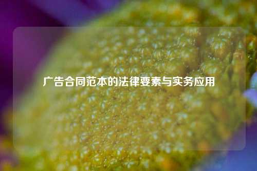 广告合同范本的法律要素与实务应用