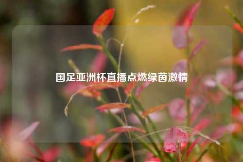 国足亚洲杯直播点燃绿茵激情