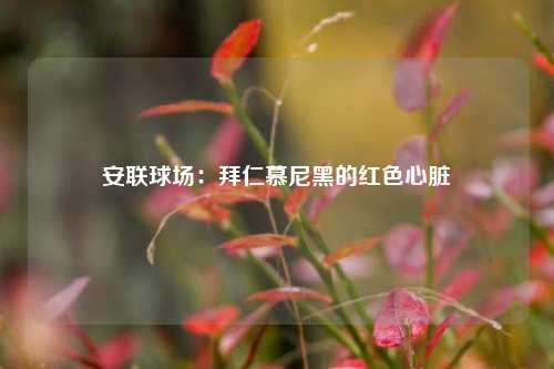 安联球场：拜仁慕尼黑的红色心脏