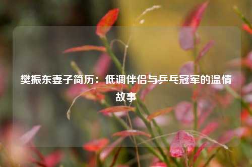 樊振东妻子简历：低调伴侣与乒乓冠军的温情故事