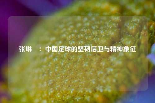张琳芃：中国足球的坚韧后卫与精神象征