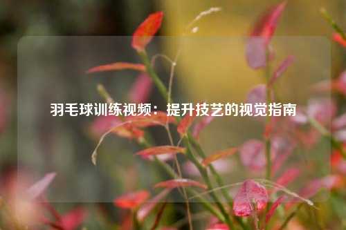 羽毛球训练视频：提升技艺的视觉指南