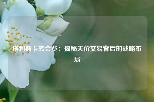 塔利斯卡转会费：揭秘天价交易背后的战略布局